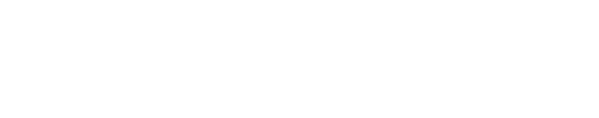 genesys desarrollo de software